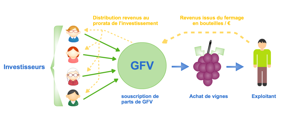 montage d'un groupement foncier viticole