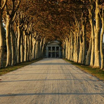 GFV Margaux : Avec élégance et volupté